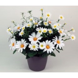 Coupe Marguerite H39Cm-Ø42Cm