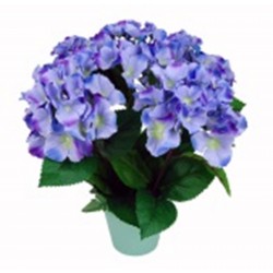 Coupe Hortensia H41Cm-Ø38Cm