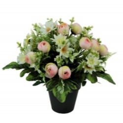 Coupe Renoncules/Fleurs...