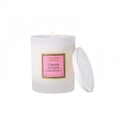 Bougie Parfumée Cerisier En...
