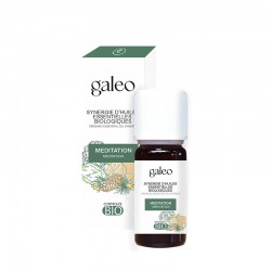 Synergie Méditation Ab...