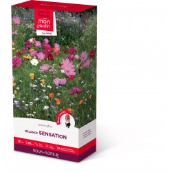 UNE PRAIRIE FLEURIE POUR...