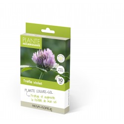 PLANTE NOURRISSANTE  TRÊFLE...