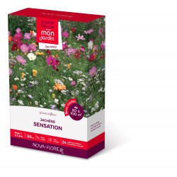 UNE PRAIRIE FLEURIE POUR...