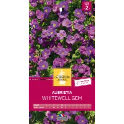 Graines Aubrietia Whitewell...