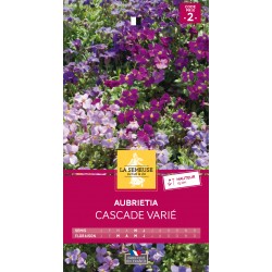 Graines Aubrietia Cascade...