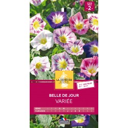 Graines Belle De Jour -LA...