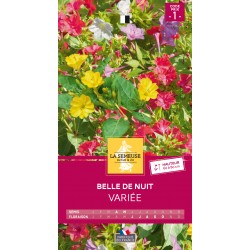 Graines Belle De Nuit -LA...