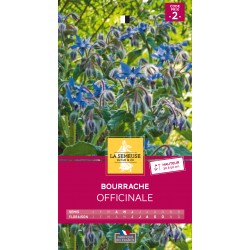 Graines Bourrache...