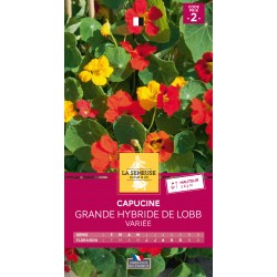 Graines Capucine Grande...