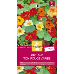 Graines Capucine Tom Pouce...