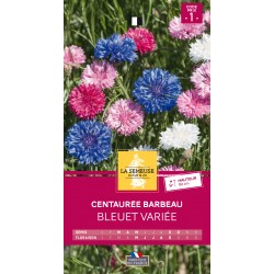 Graines Centauree Barbeau...