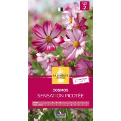 Graines Cosmos Geant...