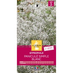 Graines Gypsophile Paniculé...