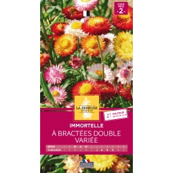 Graines Immortelle À...