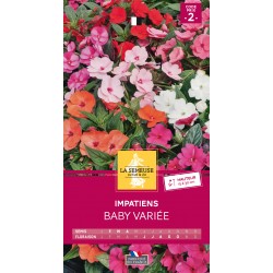Graines Impatiens Baby -LA...