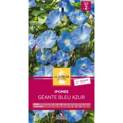 Graines Ipomee À Grande...