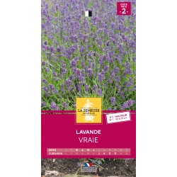 Graines Lavande Vraie -LA...