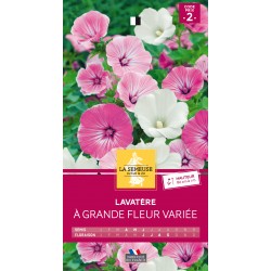 Graines Lavatere À Grande...