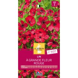 Graines Lin À Grande Fleur...