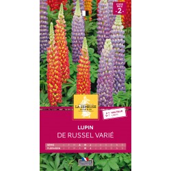 Graines Lupin De Russel -LA...