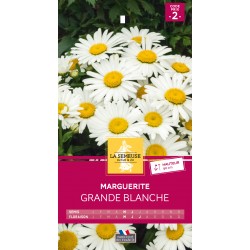 Graines Marguerite Grande...