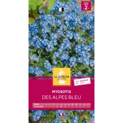 Graines Myosotis Des Alpes...