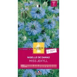Graines Nigelle De Damas...