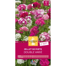 Graines Œillet De Poète...