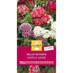 Graines Œillet De Poète...