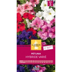 Graines Petunia Hybride -LA...