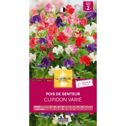 Graines Pois De Senteur...