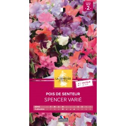 Graines Pois De Senteur...