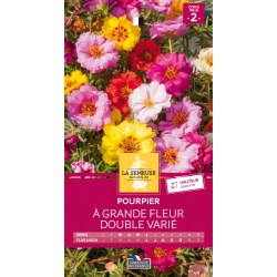 Graines Pourpier À Grande...