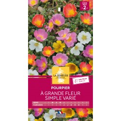 Graines Pourpier À Grande...