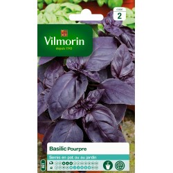 VILMORIN BASILIC Pourpre...