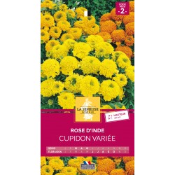 Graines Rose D'Inde Cupidon...