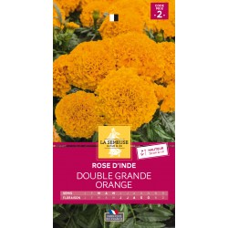 Graines Rose D'Inde Double...