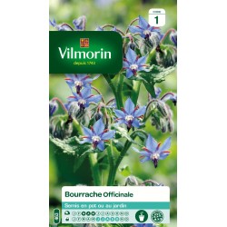 VILMORIN BOURRACHE...