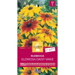 Graines Rudbekia Gloriosa...