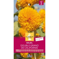 Graines Soleil Double Grand...