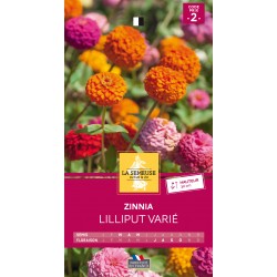 Graines Zinnia Lilliput -LA...