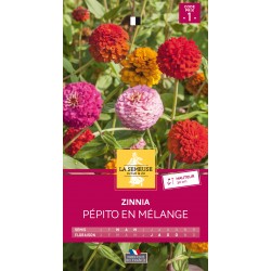 Graines Zinnia Pepito Nain...