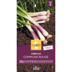 Graines Ciboule Commune...