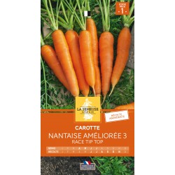 Graines Carotte Nantaise...