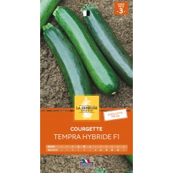 Graines Courgette Tempra F1...