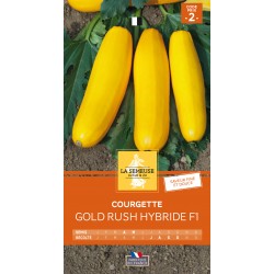 Graines Courgette Gold Rush...