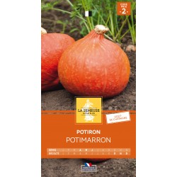 Graines Potiron Potimarron...