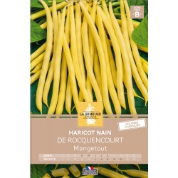 Graines Haricot Nain...
