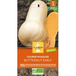 Graines Courge Butternut Ab...